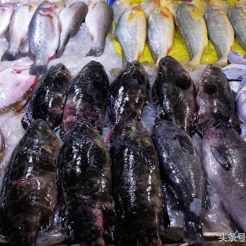 梭子蟹养殖技术最新更新