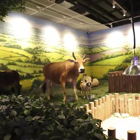 龙猫组合最新歌曲，音乐新境界探索