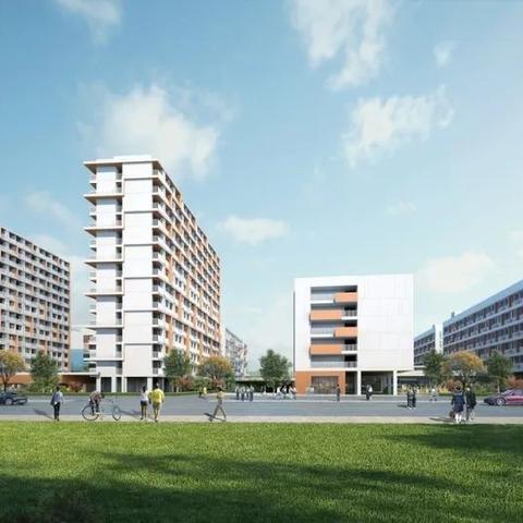 龙岩东肖板块最新动态深度解读报道