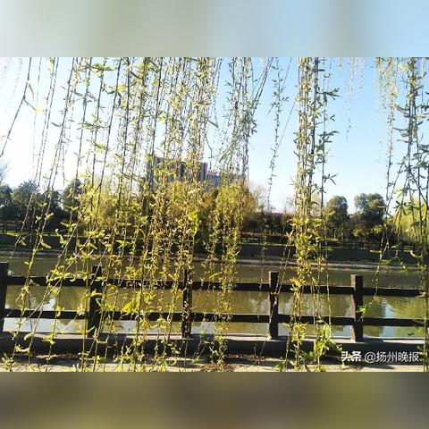 江都大桥招聘最新信息速递