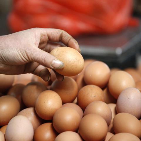 全国鸡蛋报价网最新分析与观察