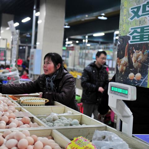 全国鸡蛋报价网最新分析与观察