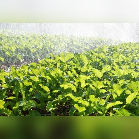 电白水东招工信息更新概览