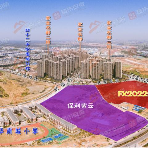 揭秘FX最新消息，金融市场动向与机遇展望