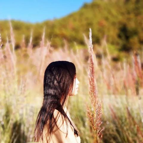 仙居人才招聘信息更新