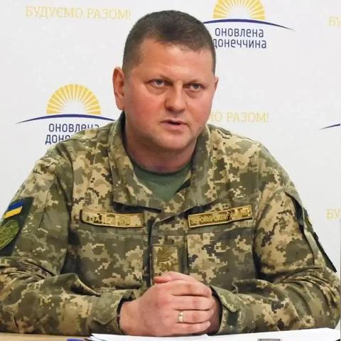 美国选举最新动态分析