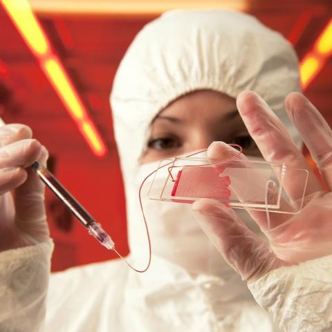 美国最新疫情累计确诊数及应对策略挑战