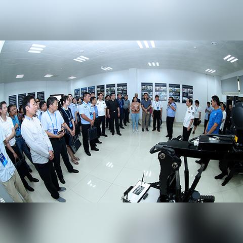 最新网站概览，数据驱动网络服务发展概览