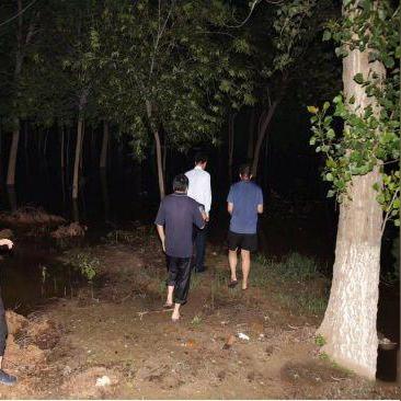 永鑫能源最新动态,引领转型,塑造未来能源格局