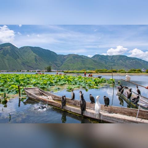 十二月流行歌曲盘点,冬季风情热歌推荐