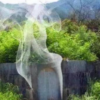 湖北封省最新情况分析解读