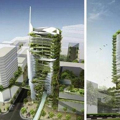 最新网络网站发展趋势深度解析