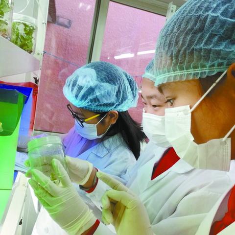 最新工厂运营分析报告概览