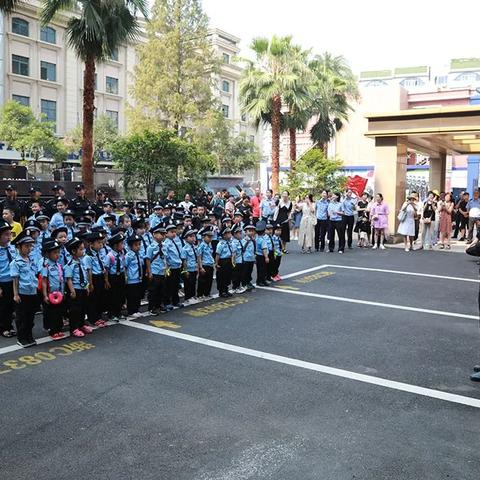 鹿城区最新公示，深化发展细节全解析