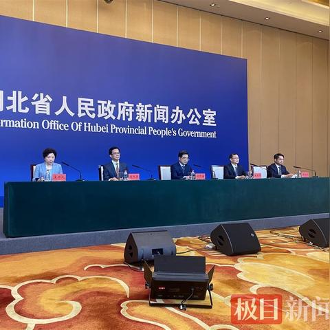 湖北省企业政策解析与影响探讨