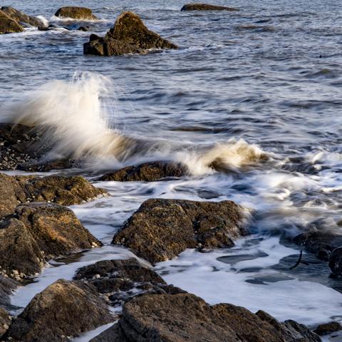 辽宁最新疫情消息报告更新