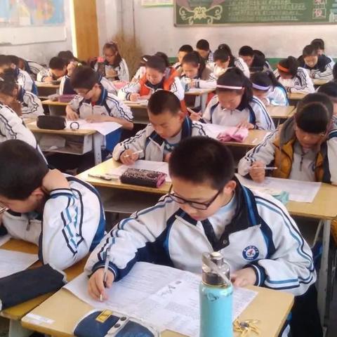 广东湛江最新概况速览