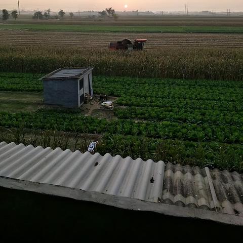 凤台县发展报告，最新进展与成就概览