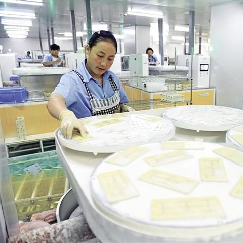 凤台县发展报告,最新进展与成就概览