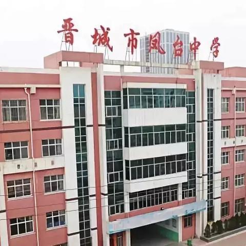 凤台县发展报告,最新进展与成就概览