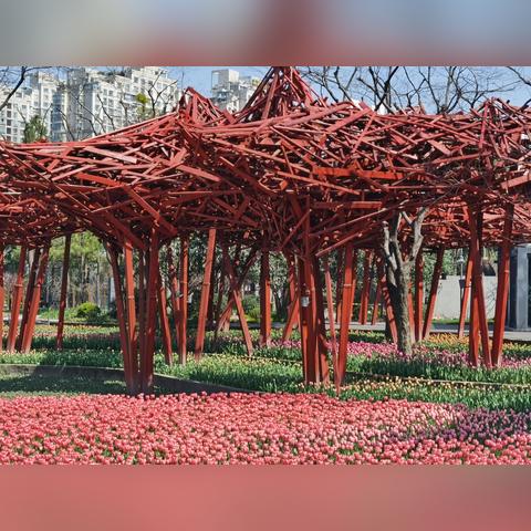 上海最新疫情报告发布