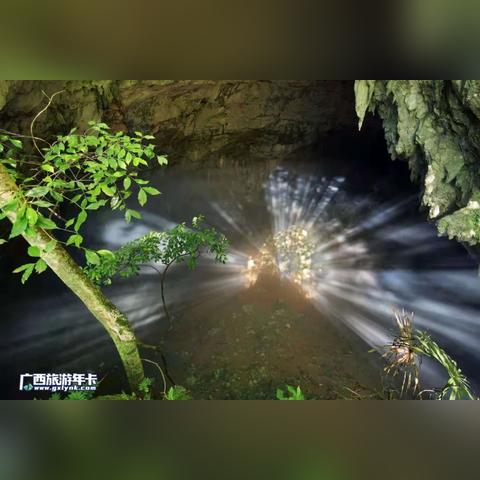 乐业隧道事故最新进展报告