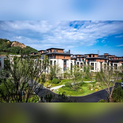 穿梭最新版，重塑城市交通未来新篇章