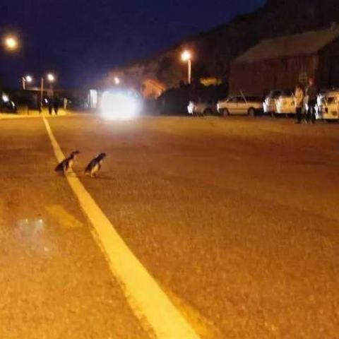 数字时代社交新潮流，最新求赞群来袭！