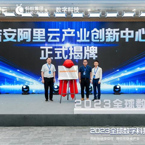 蚂蚁最新回应，数字背后的深层故事揭秘