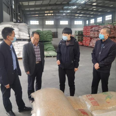 最新薄米机革新传统米业，科技引领潮流