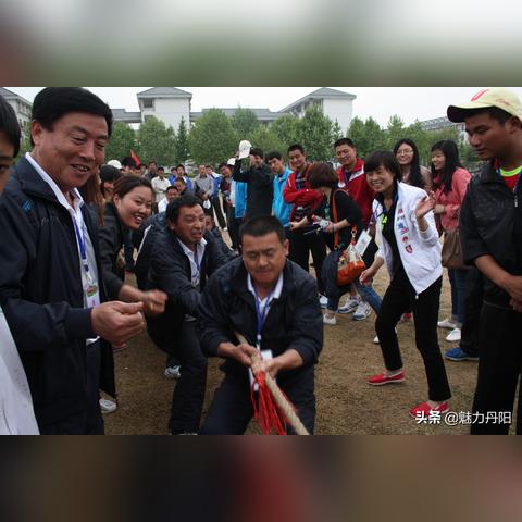 庞楼社区发展,民生改善新篇章纪实