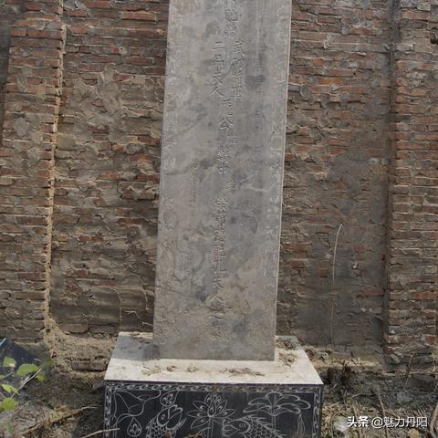 庞楼社区发展,民生改善新篇章纪实