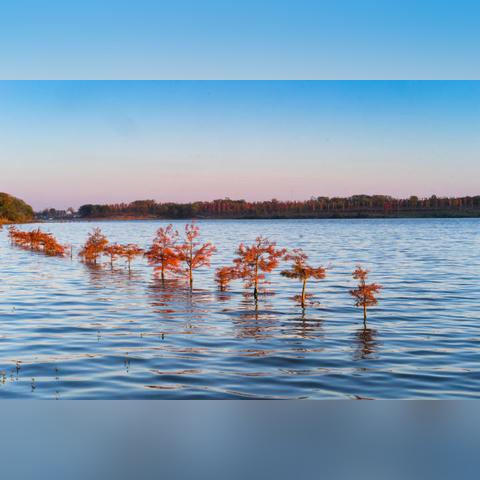 绍兴最新放假通知解读