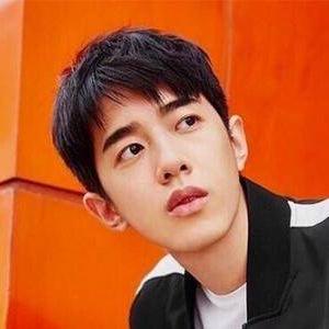 广东经济活力与科技创新蓬勃发展最新动态