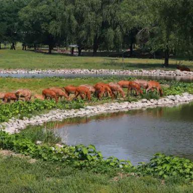 奥森公园最新动态及进展速递