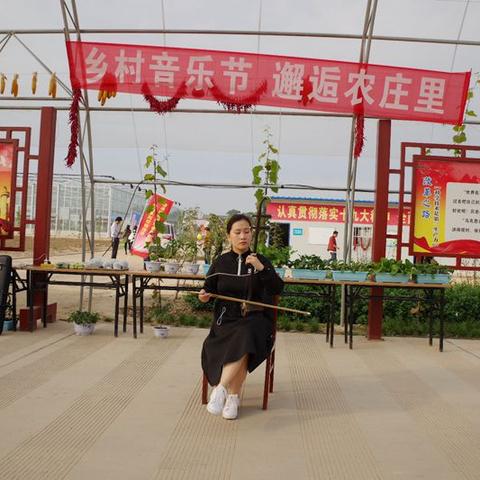 最新野猪套，科技与自然融合的新篇章