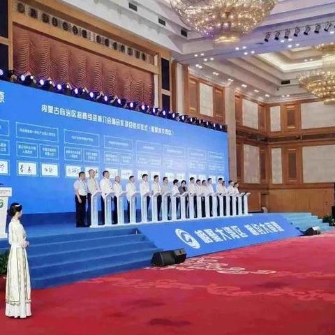 G355最新动态揭秘,数字背后的故事浮出水面