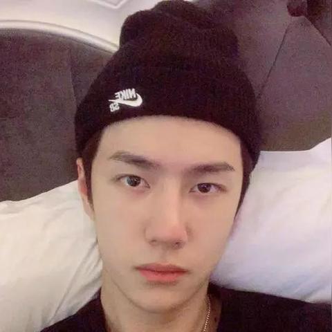 无感最新评分解析