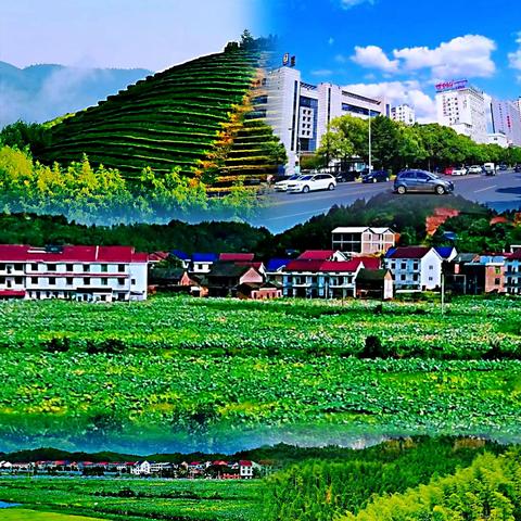 株洲最新招聘动态，岗位详览，求职指南全解析