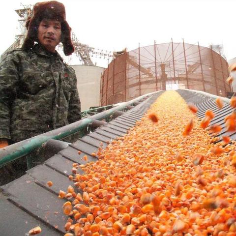 中储粮最新信息深度解析