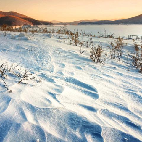 哈尔滨最新疫情报告更新