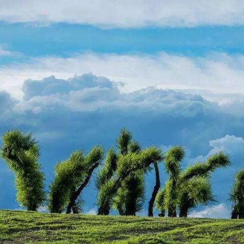 异妖志最新探索，神秘生物与奇异现象揭秘