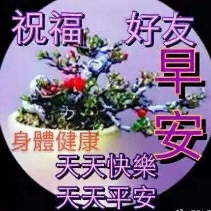 早安祝福,开启全新一天的美好祝愿