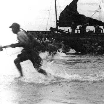 海南发展迈入新纪元，最新数据报告解析