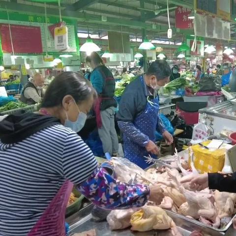 立冬视频解读，气候变迁对农业生产的影响及挑战机遇