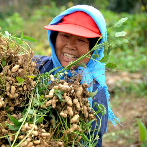 立冬视频解读,气候变迁对农业生产的影响及挑战机遇