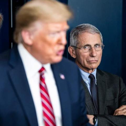 美国最新疫情状况分析报告