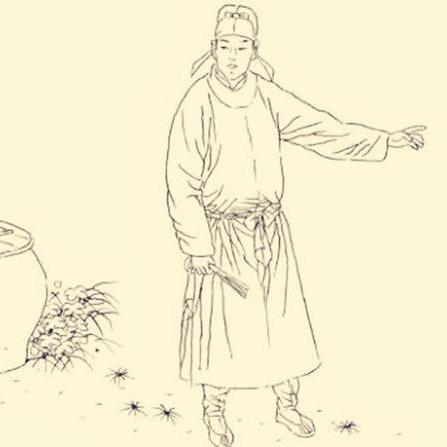 马云最新举措，聚焦细节揭示真相