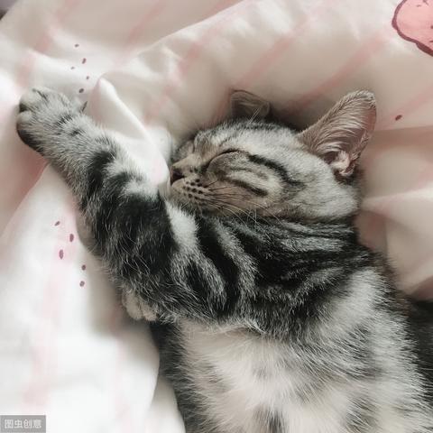 最新款火炉，科技舒适完美结合的首选