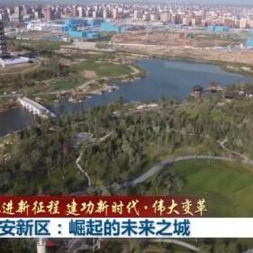 男同志群体崛起与影响分析报告最新发布